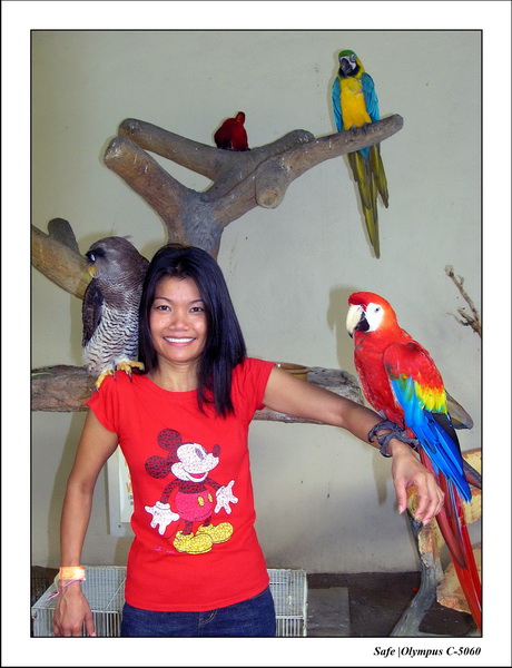 2005 - 08 - KUL - parc animalier  - 68.JPG